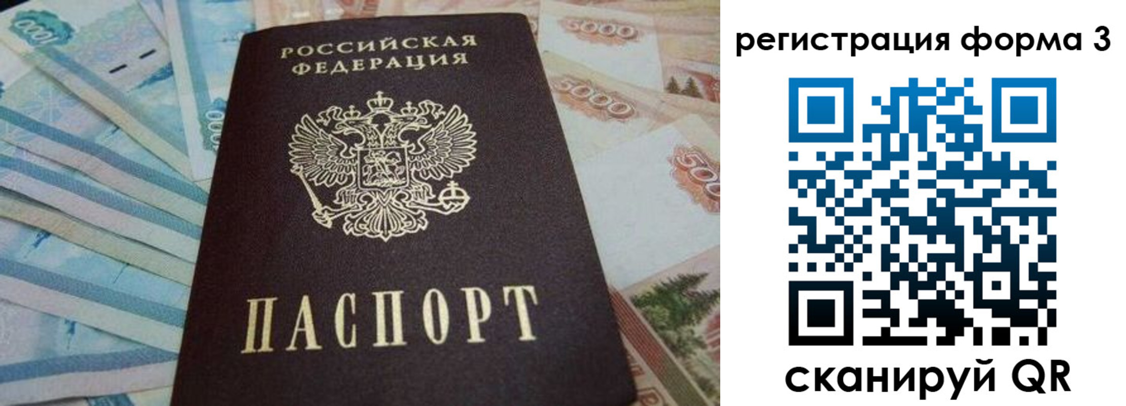 прописка в квартире в Пионерском